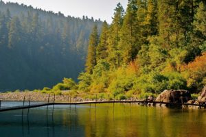 Jedidiah Smith Redwoods State Park