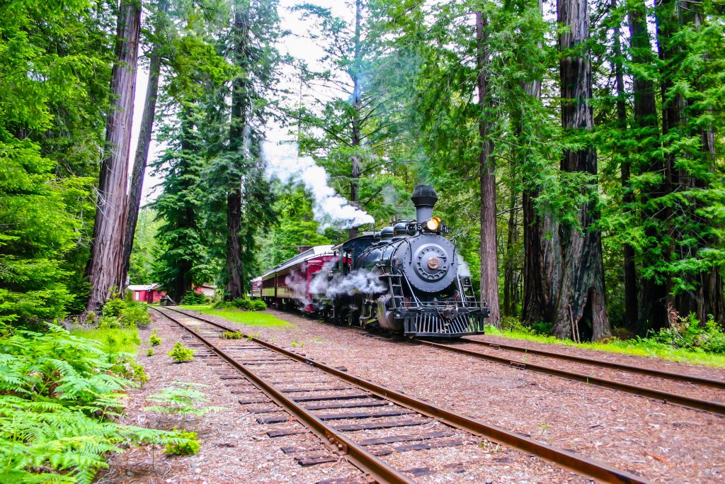 The Skunk Train of Mendocino County