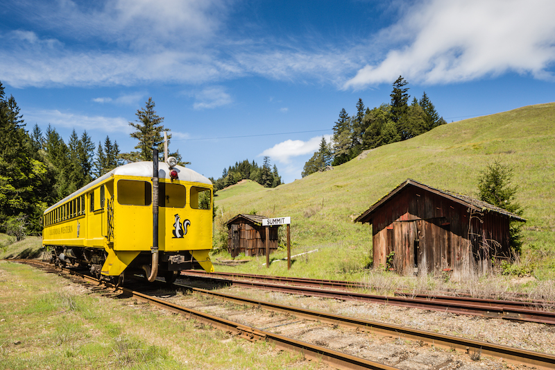 Skunk Train