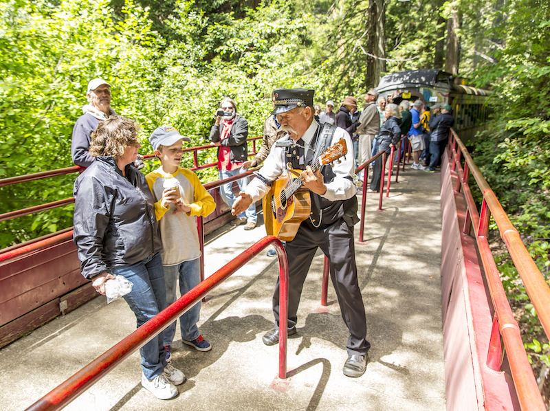 The Skunk Train's Train Singer