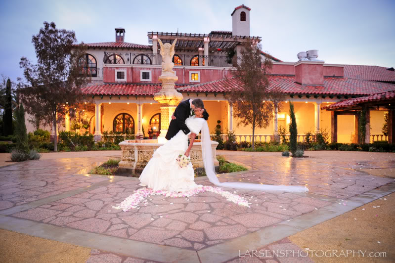 Wedding bride and groom at Brassfield Estate Winery