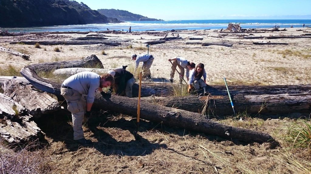 Mendocino Land Trust