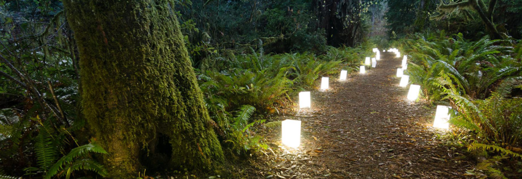 Candlelight Walk at Prairie Creek Redwoods State Park.